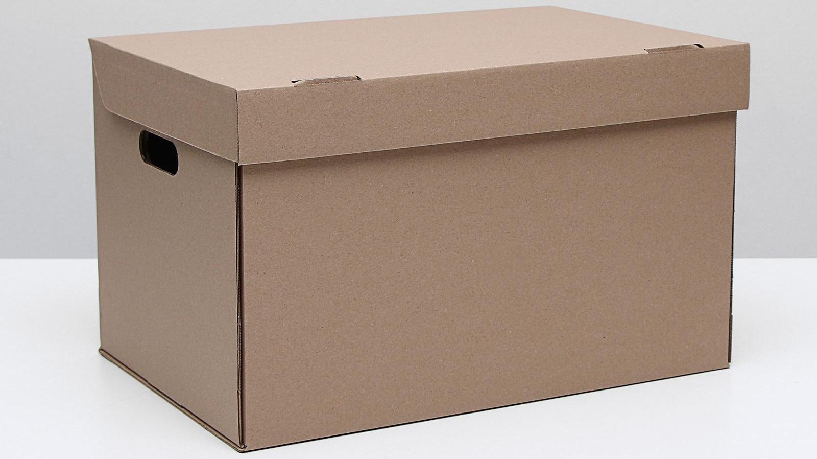 Коробка для хранения, бурая, 48 х 32,5 х 29,5 см