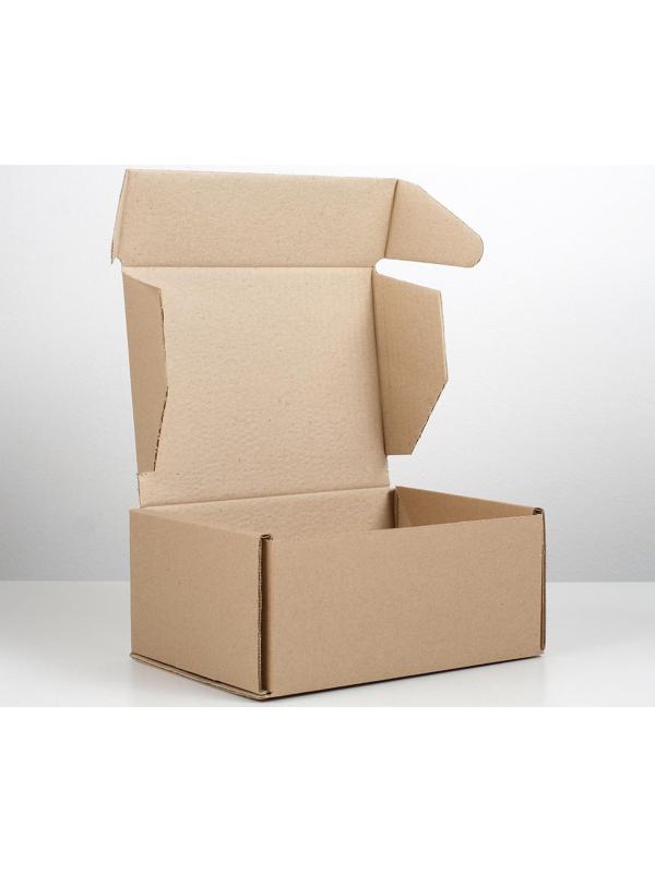 Коробка самосборная 22 х 16,5 х 10 см