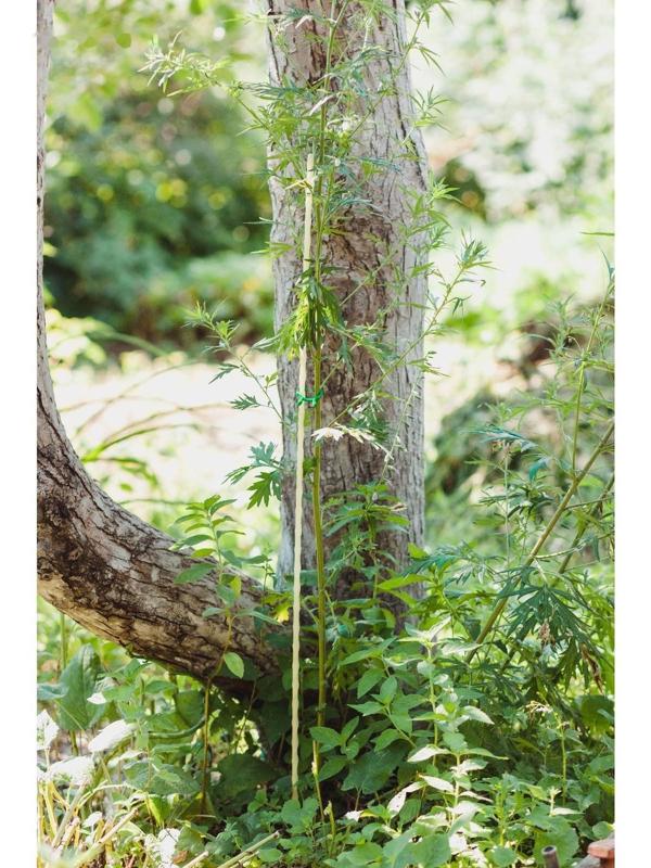 Колышек для подвязки растений, h = 100 см, d = 0,8 см, стеклопластик, Greengo