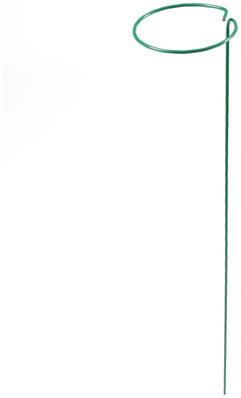 Кустодержатель для цветов, d = 20 см, h = 70 см, ножка d = 0.3 см, металл, зелёный