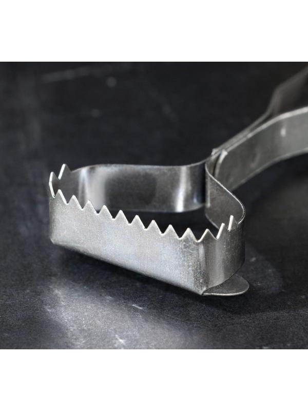 Рыбочистка 