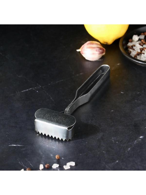 Рыбочистка 