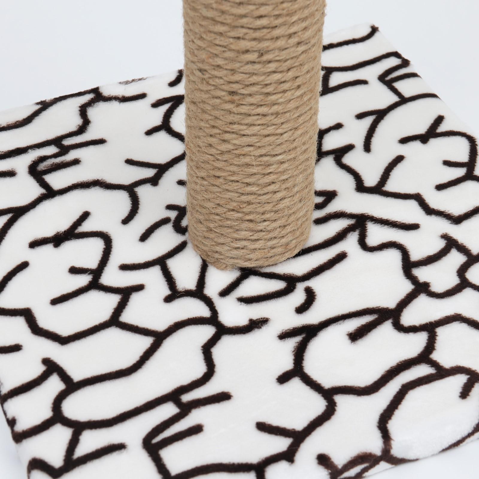 Когтеточка 