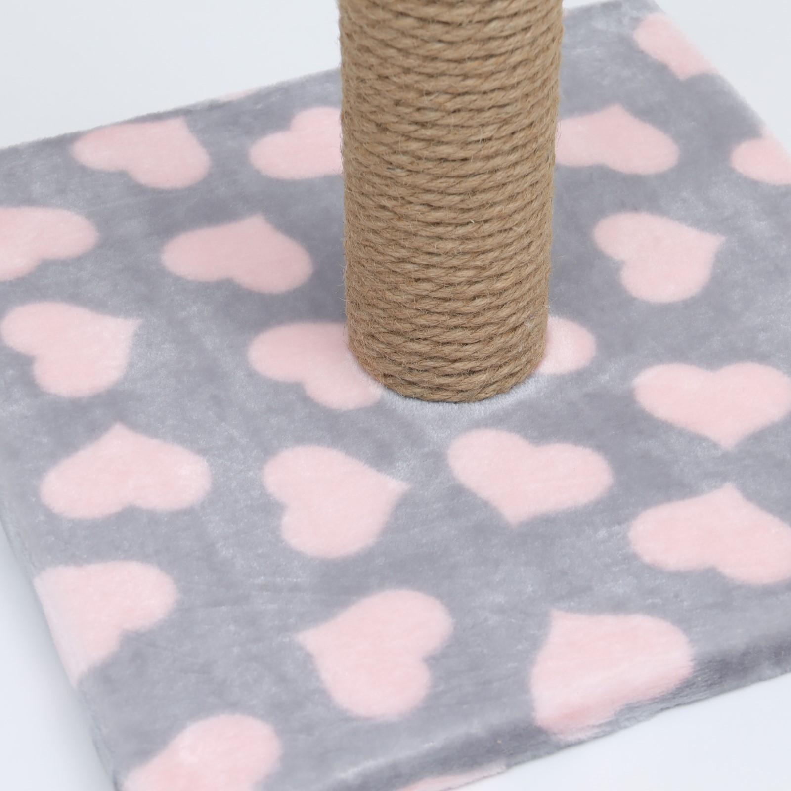 Когтеточка 