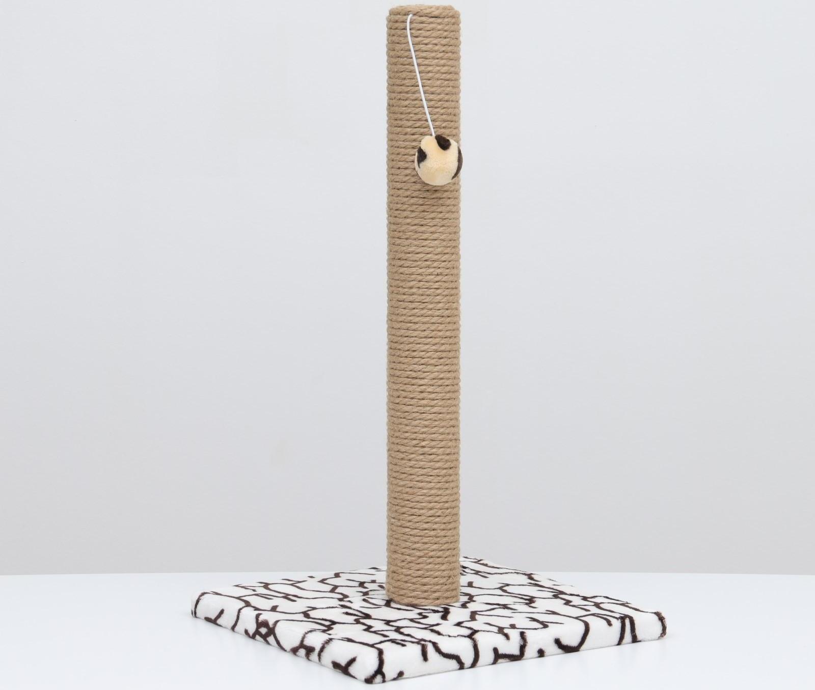 Когтеточка 