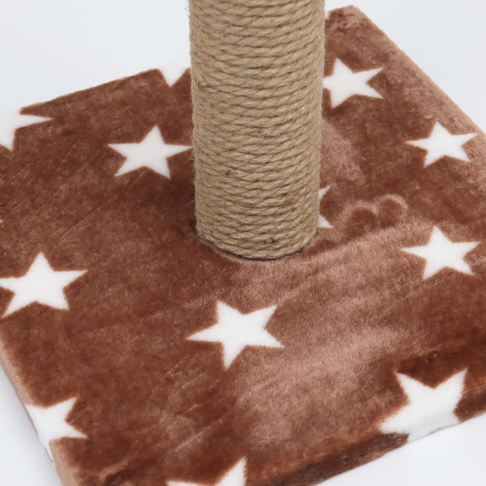 Когтеточка 