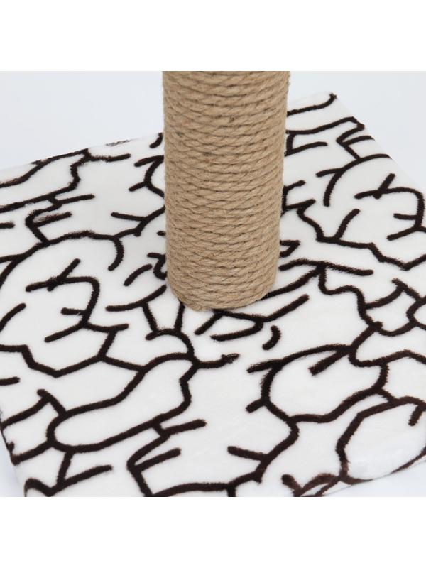 Когтеточка 