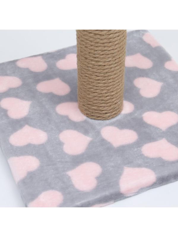 Когтеточка 