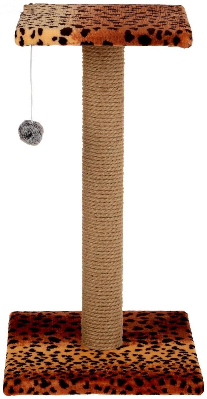 Когтеточка 