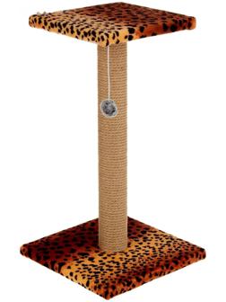 Когтеточка 