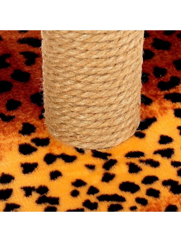 Когтеточка 