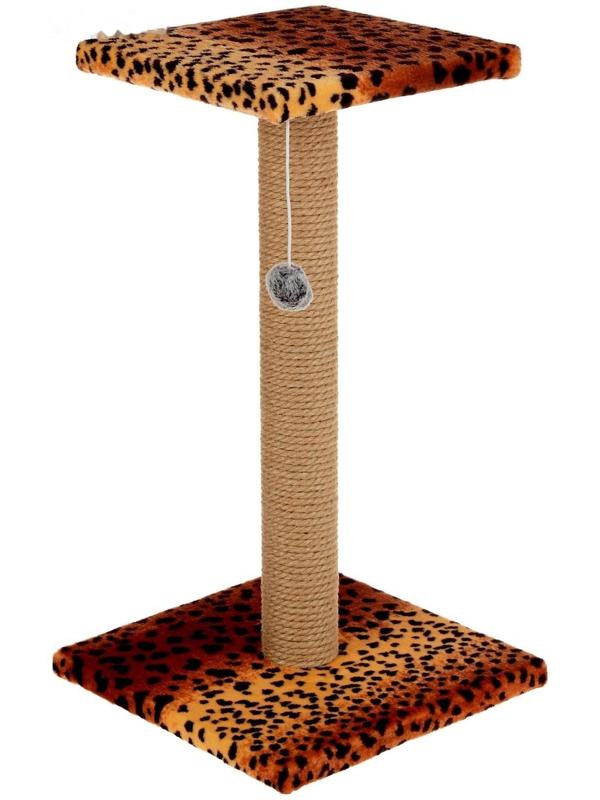 Когтеточка 