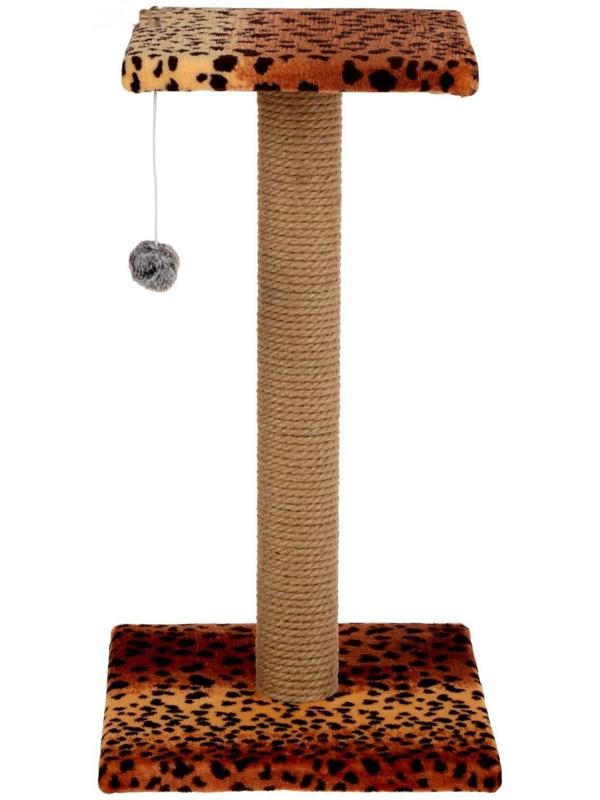 Когтеточка 