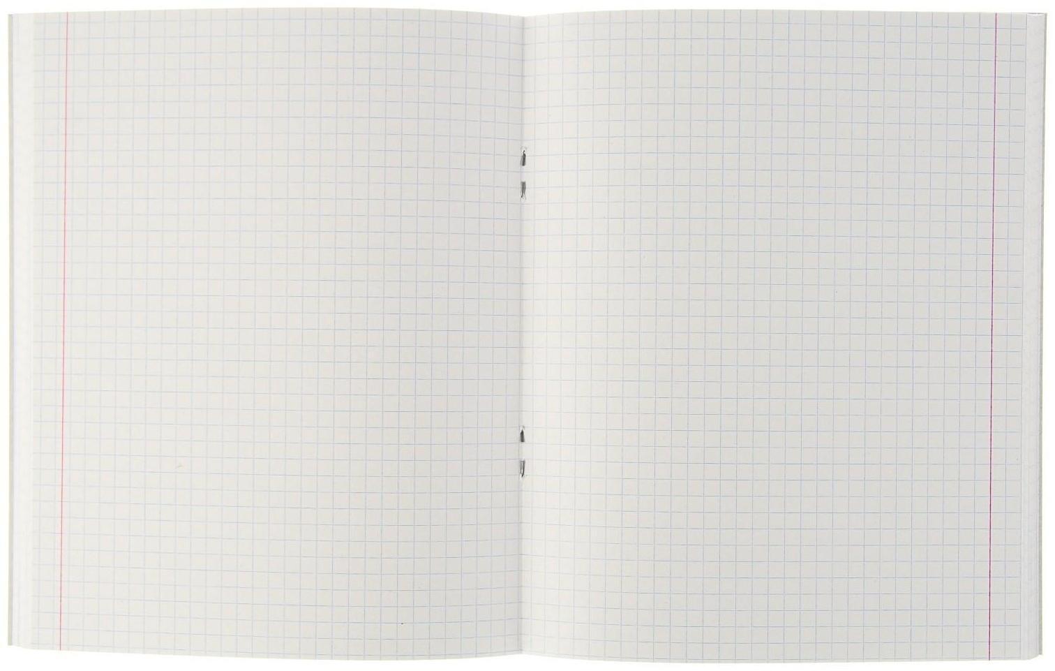 Тетрадь 96 листов в клетку Calligrata 