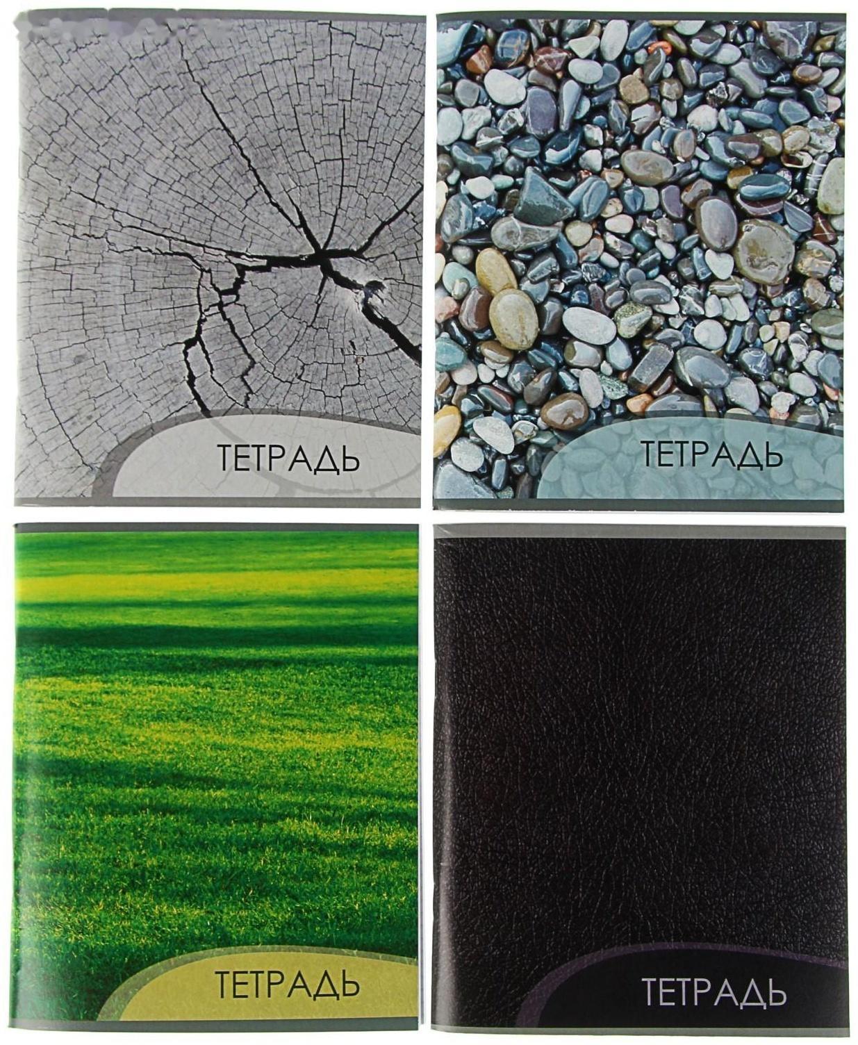 Тетрадь 96 листов в клетку Calligrata 