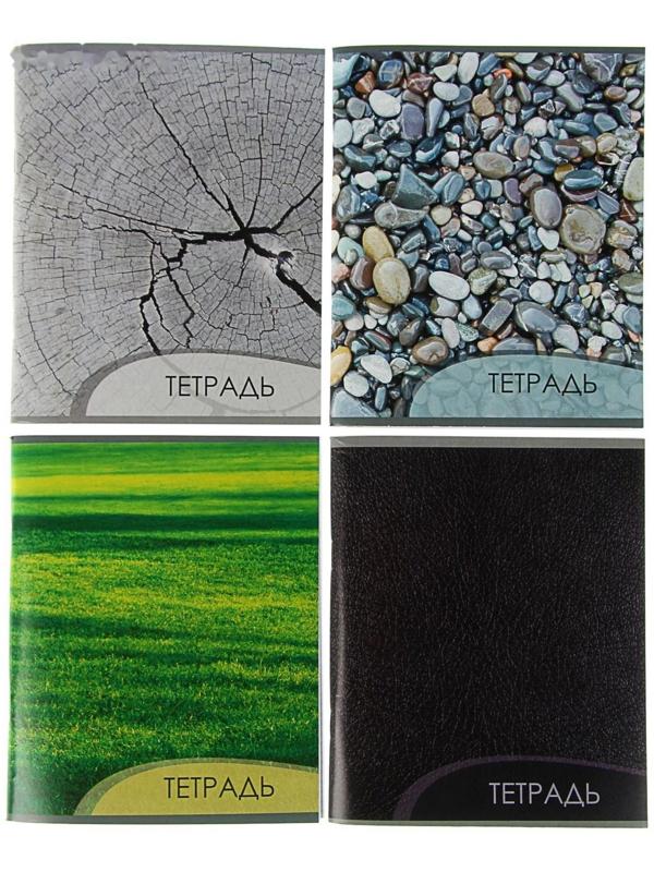 Тетрадь 96 листов в клетку Calligrata 