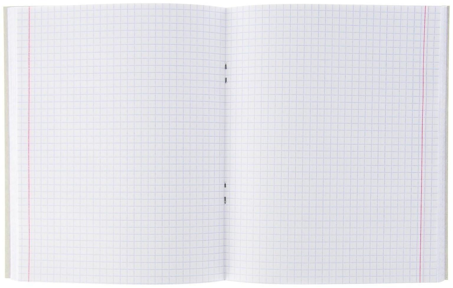 Тетрадь 96 листов в клетку Calligrata 