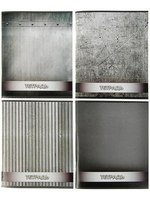 Тетрадь 96 листов в клетку Calligrata 