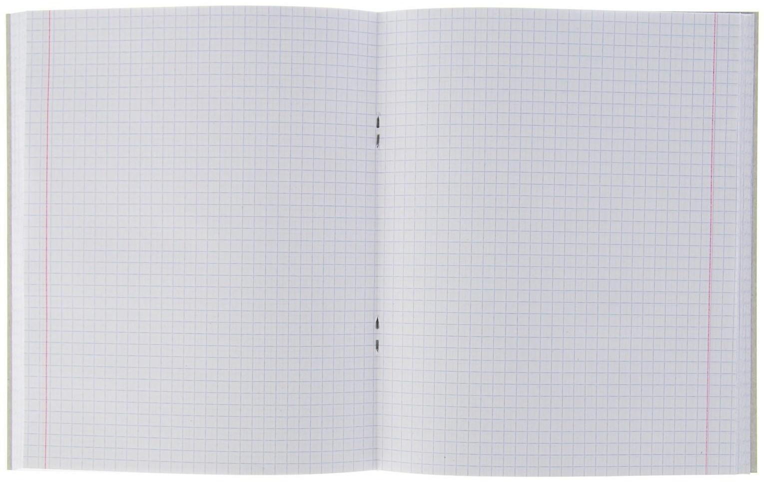 Тетрадь 96 листов в клетку Calligrata 