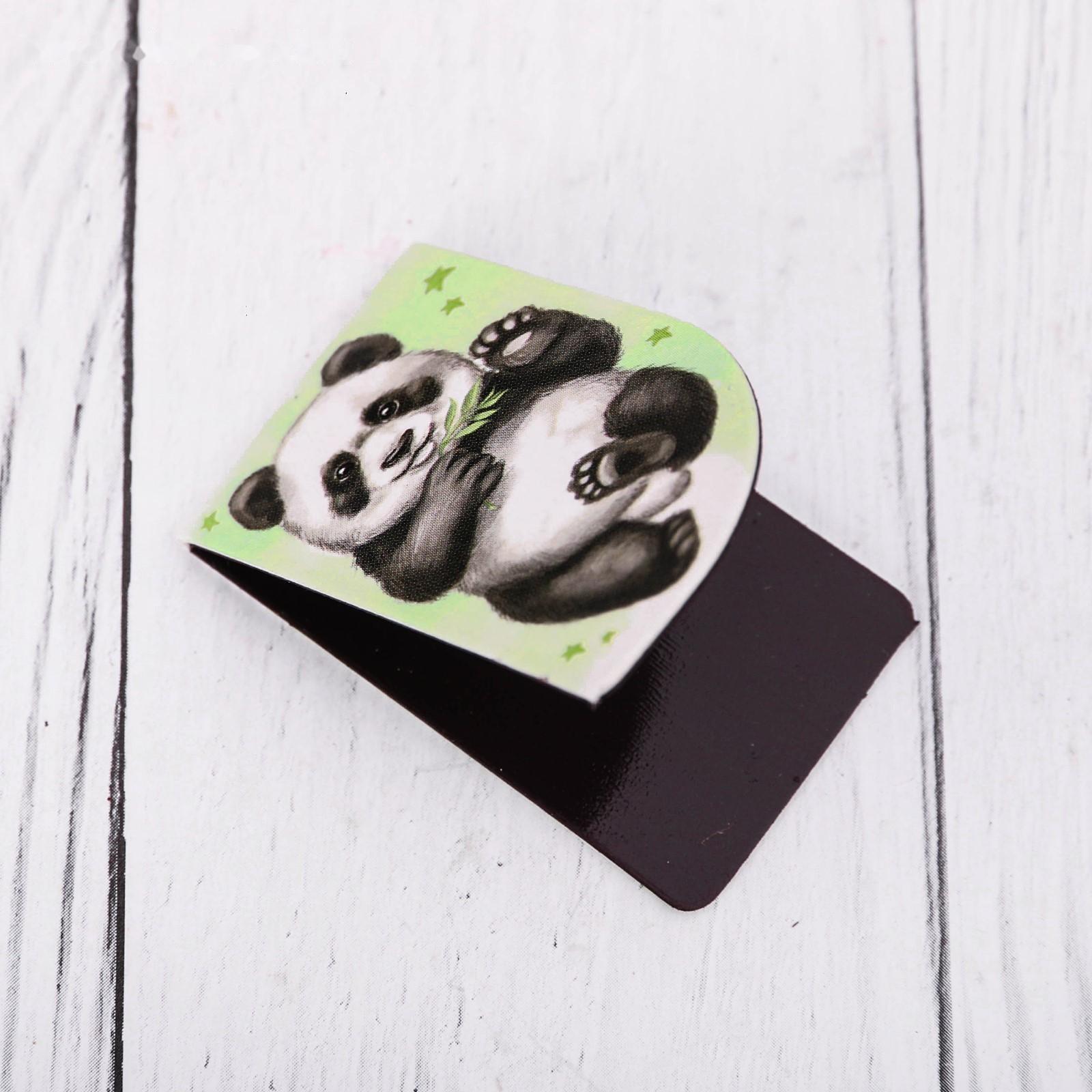 Набор магнитных закладок 