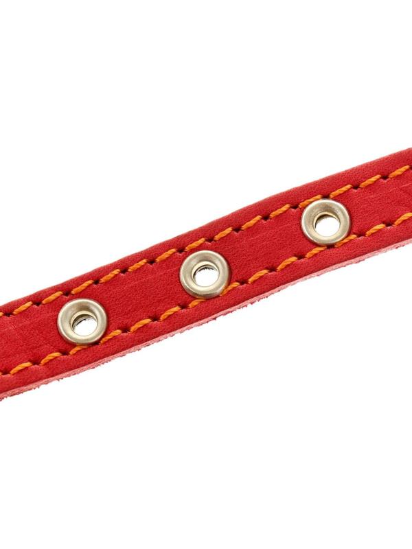 Ошейник кожаный на синтепоне, безразмерный, 37 х 1,5 см, ОШ 21-31 см, красный