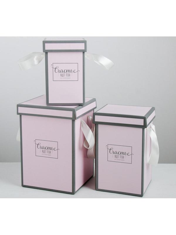 Набор коробок 3 в 1 «Счастье ждёт тебя», 10 × 18, 14 × 23, 17 × 25 см