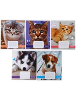 Тетрадь 18 листов в линию Calligrata 