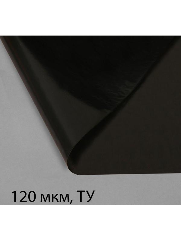 Плёнка полиэтиленовая, техническая, для мульчирования, толщина 120 мкм, 10 × 3 м, рукав (2 × 1,5 м), чёрная, 2 сорт, Эконом 50 %