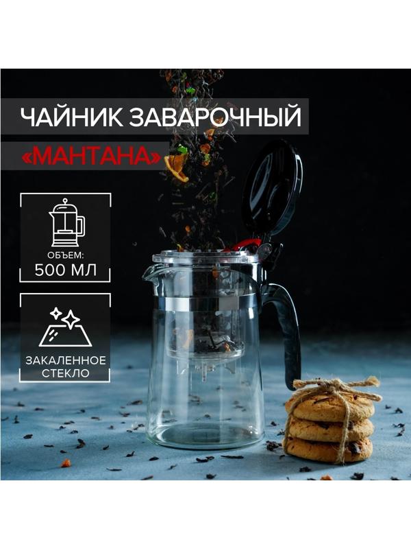 Чайник стеклянный заварочный Magistro «Мантана», 500 мл, с пластиковым ситом