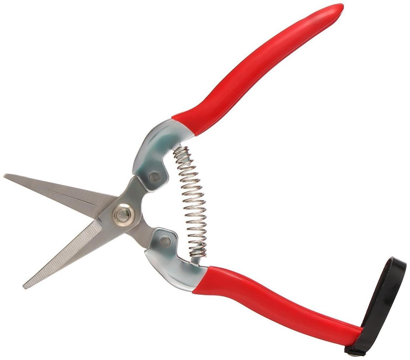 Ножницы садовые, 7