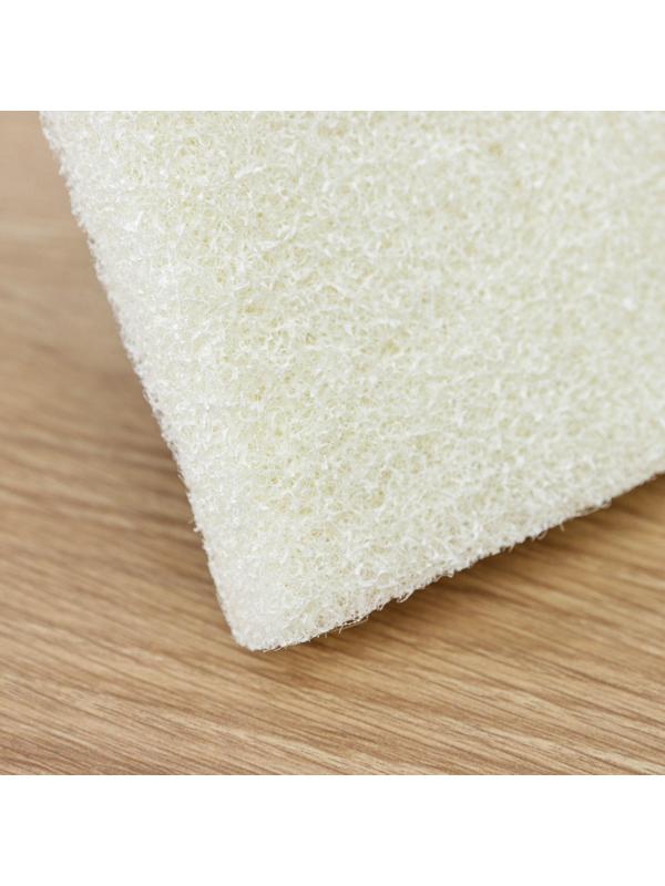 Щётка абразивная с ручкой Доляна, 15×9 см, цвет МИКС