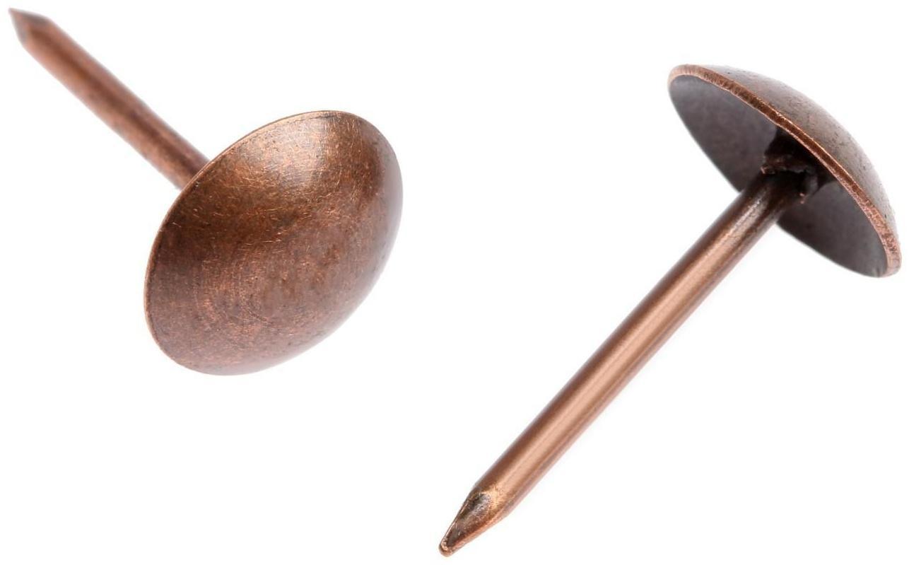 Гвозди декоративные, 8х15 мм, цвет медь, в упаковке 500 шт.