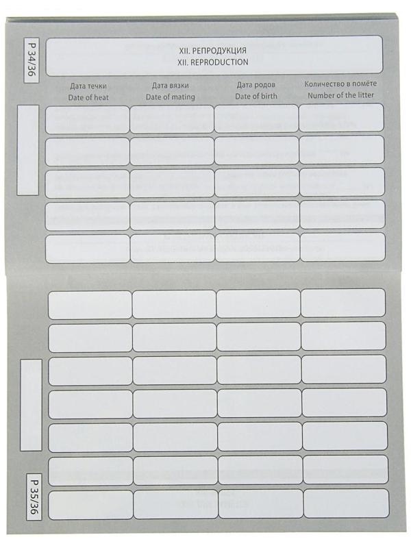 Ветеринарный паспорт международный 