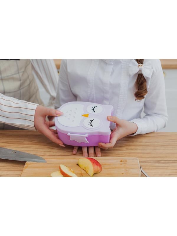 Ланч-бокс пластиковый «Совушка», 2 отделения: 300 мл, 450 мл, с ложкой, цвет МИКС