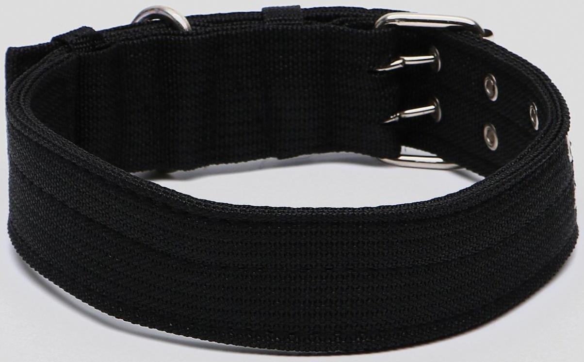 Ошейник четырехслойный с вертлюгом, 80 х 4,9 см, ОШ 64-74 см, полиэстер, чёрный