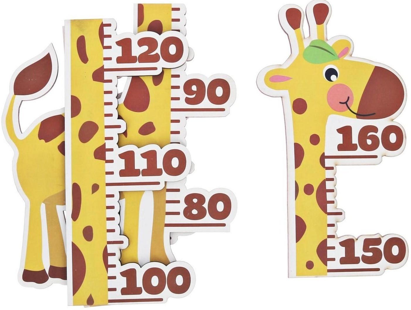 Ростомер интерьерный 