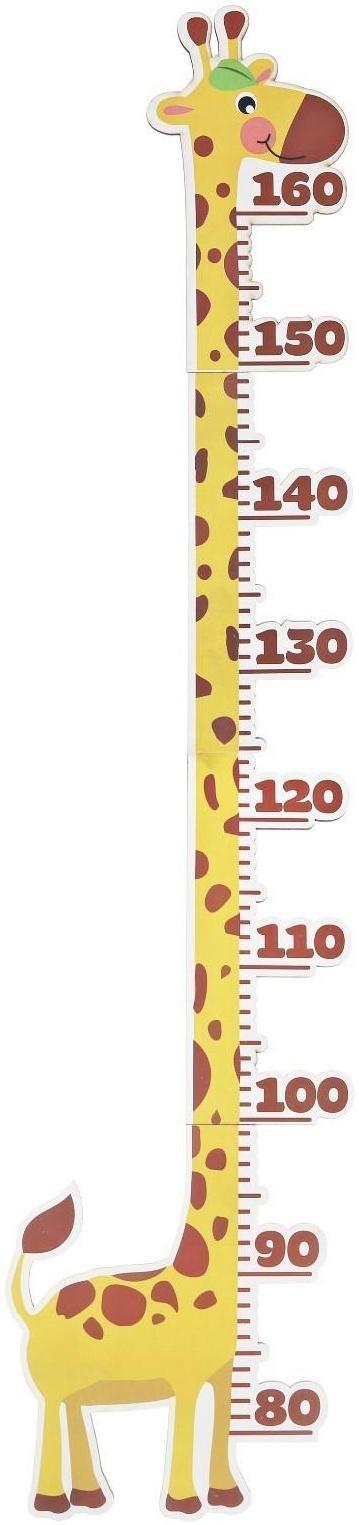 Ростомер интерьерный 