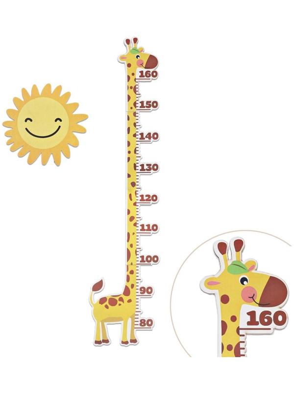 Ростомер интерьерный 