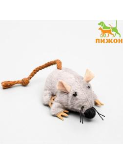 Игрушка для кошек 