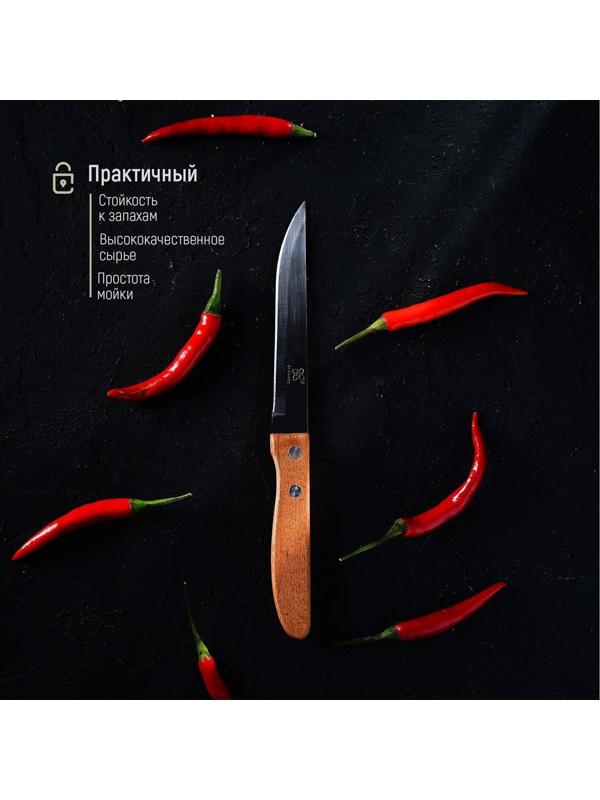 Нож кухонный «Эльбрус», гладкое лезвие 11,5 см