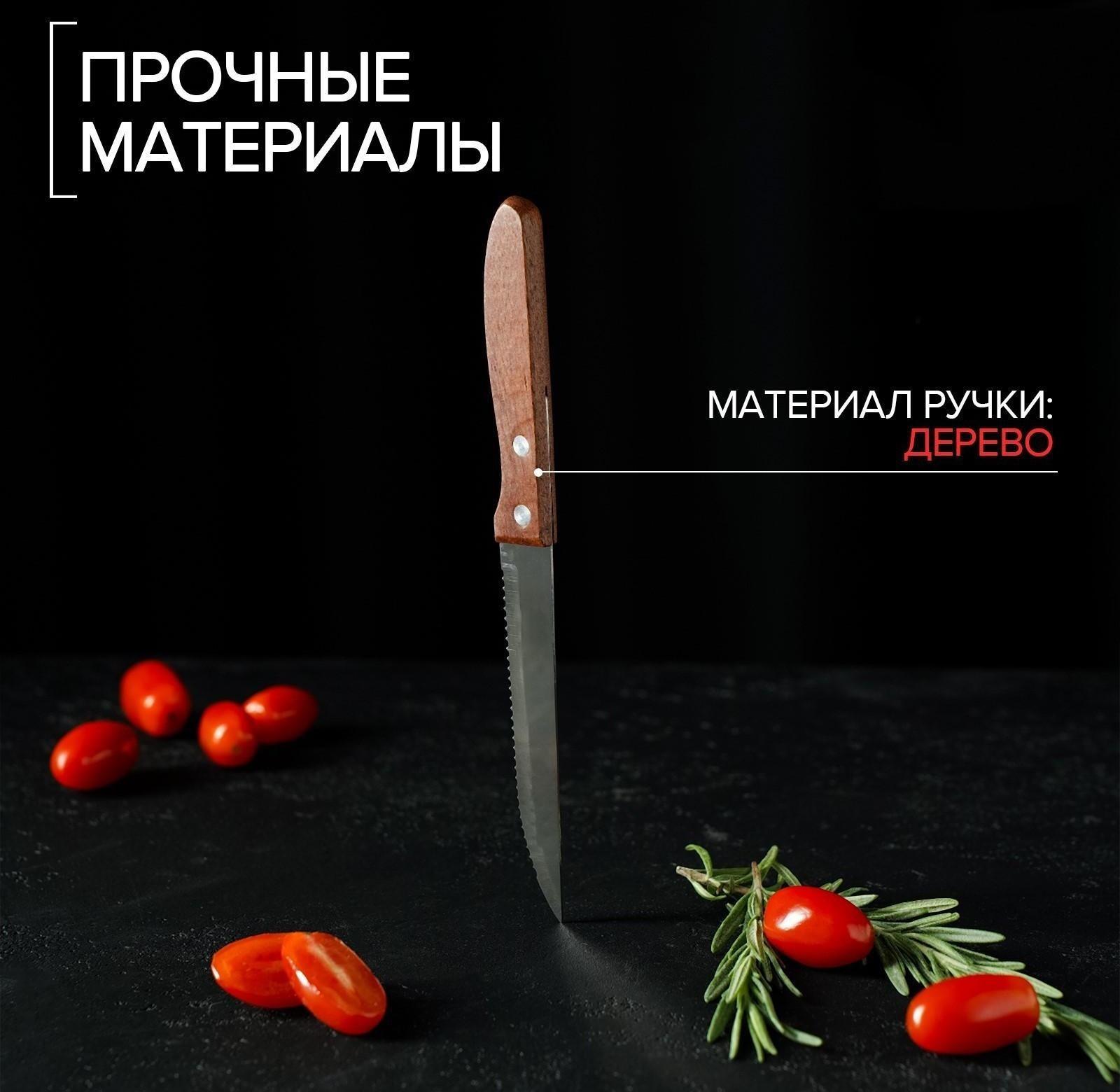 Нож кухонный «Эльбрус», зубчатое лезвие 11,5 см