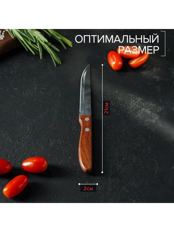 Нож кухонный «Эльбрус», зубчатое лезвие 11,5 см