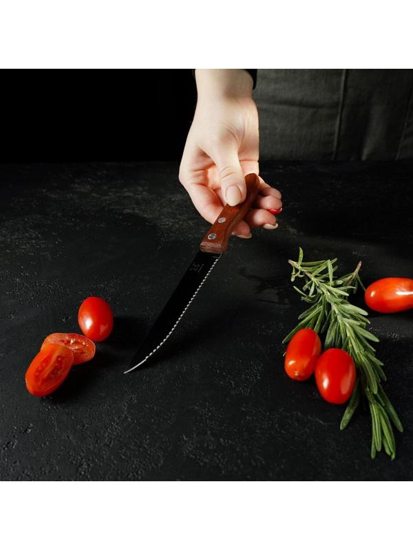 Нож кухонный «Эльбрус», зубчатое лезвие 11,5 см