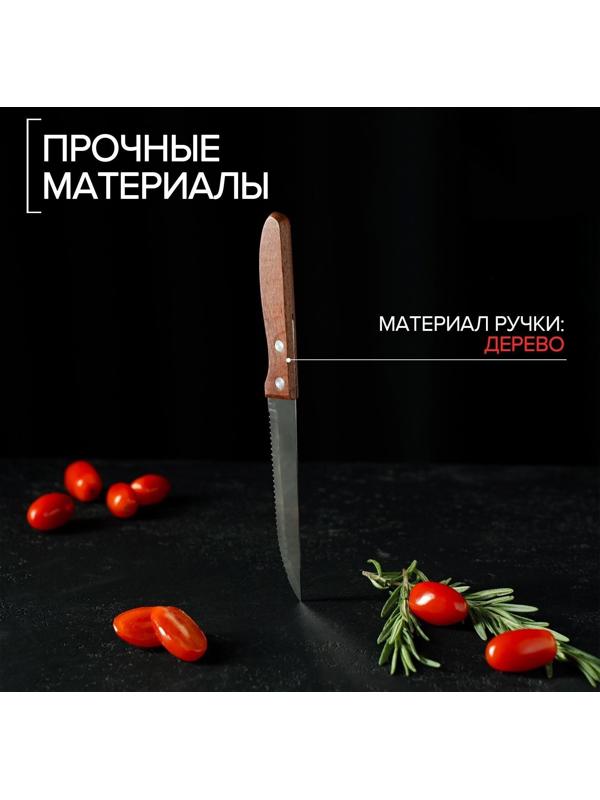 Нож кухонный «Эльбрус», зубчатое лезвие 11,5 см