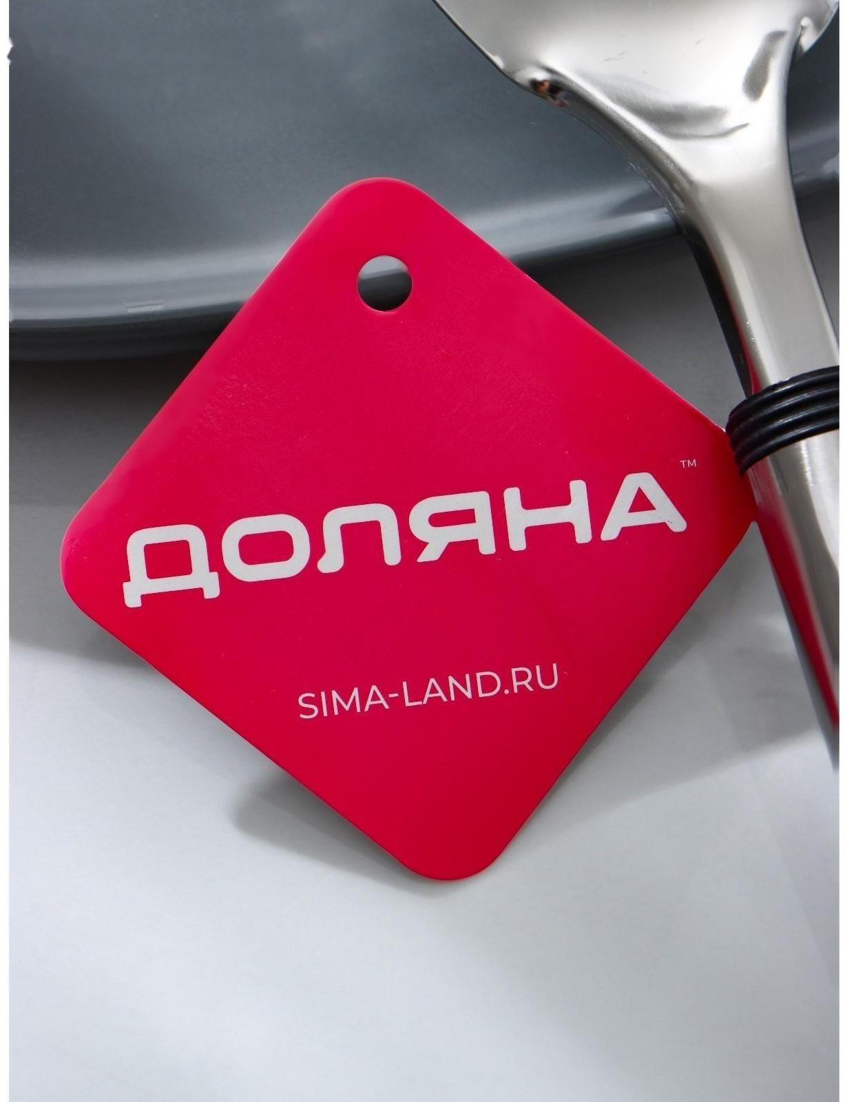 Ложка гарнирная из нержавеющей стали Доляна «Помощник», h=26 см, цвет серебряный