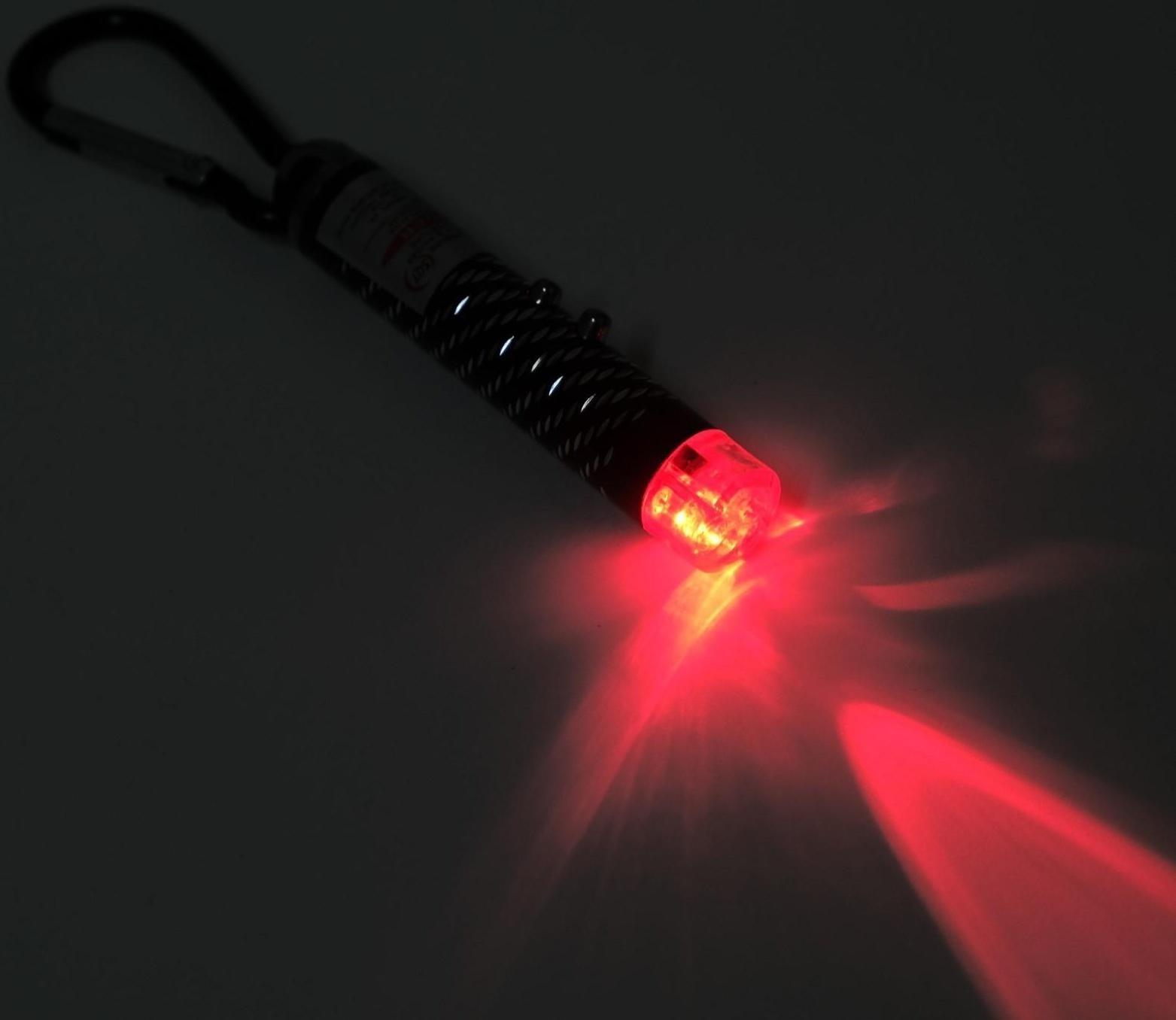 Лазерная указка 