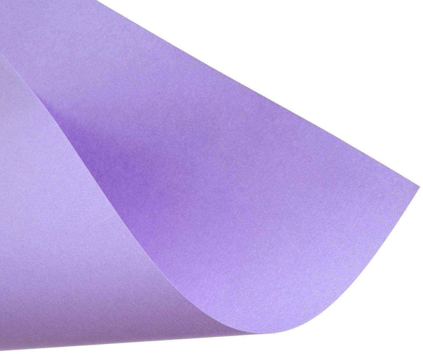 Бумага цветная А4, 12 листов, 12 цветов Calligrata, тонированная в массе, 80 г/м²