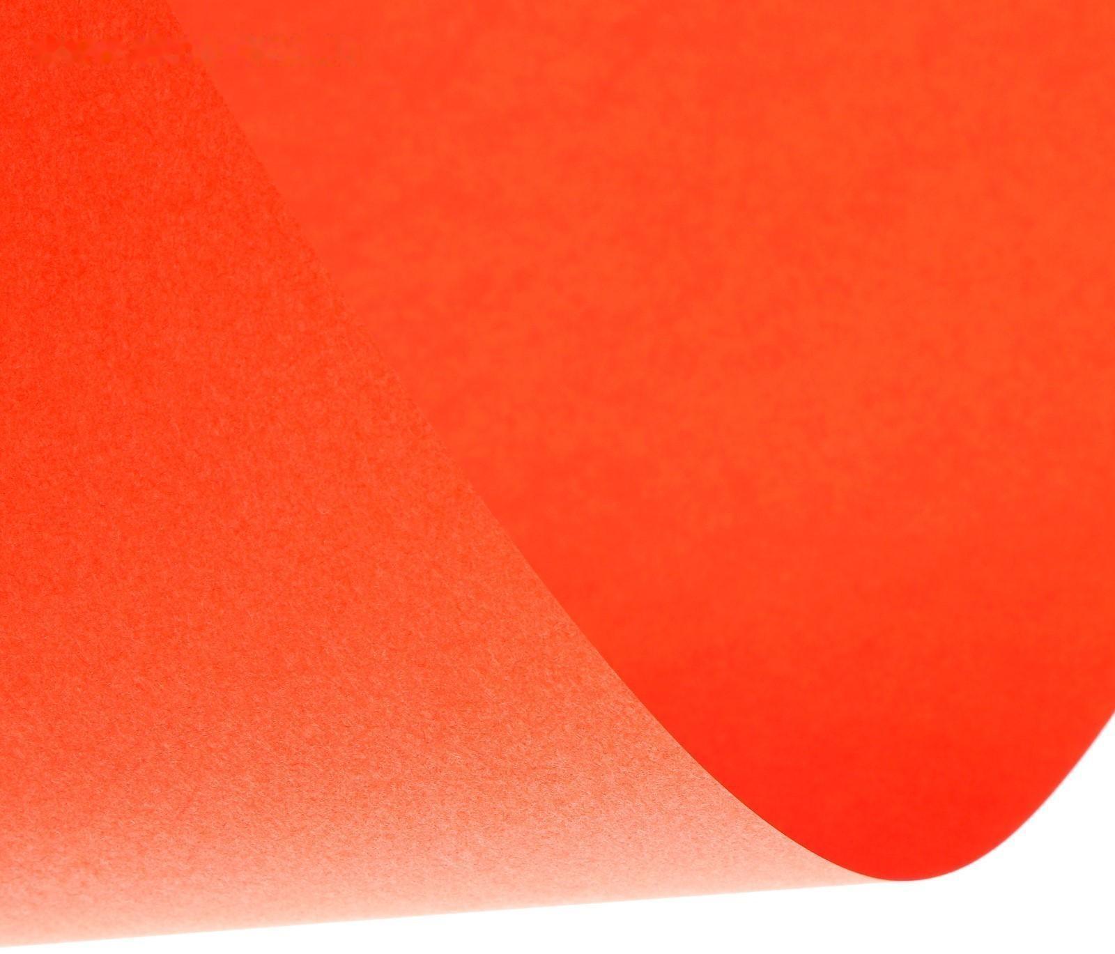 Бумага цветная А4, 12 листов, 12 цветов Calligrata, тонированная в массе, 80 г/м²