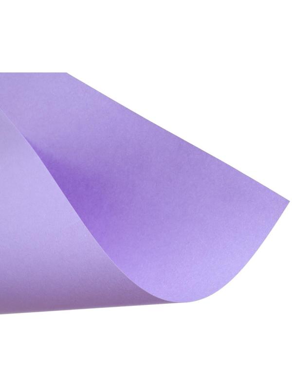 Бумага цветная А4, 12 листов, 12 цветов Calligrata, тонированная в массе, 80 г/м²