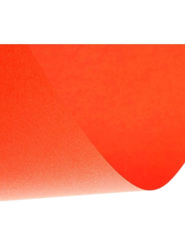 Бумага цветная А4, 12 листов, 12 цветов Calligrata, тонированная в массе, 80 г/м²